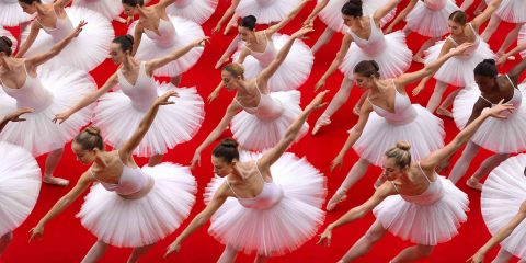 form-precision-pattern-inside-symmetrical-photography-world-brad-walls-designboom-1800