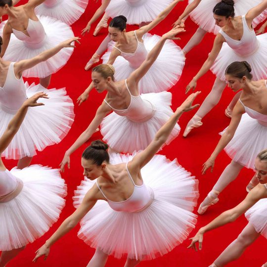 form-precision-pattern-inside-symmetrical-photography-world-brad-walls-designboom-1800